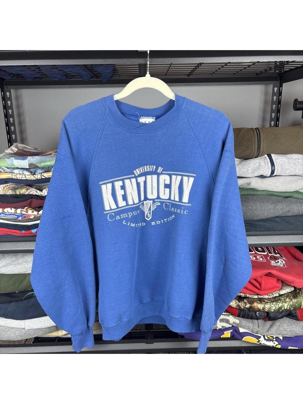 Vintage 90s University of Kentucky Wildcats Campus Classic Crewneck L